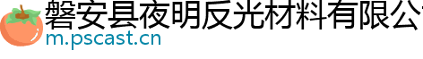 磐安县夜明反光材料有限公司